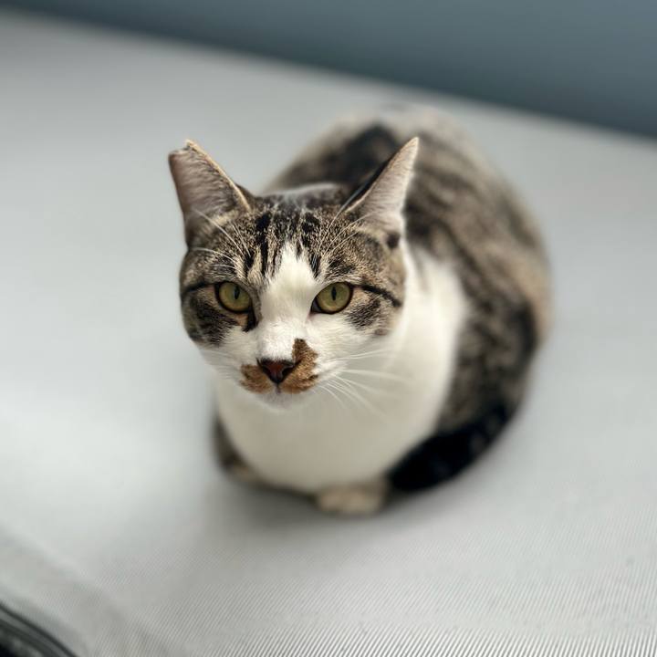 5bc05c95 82c0 49af 9224 d470f44b09ae 1762260076171