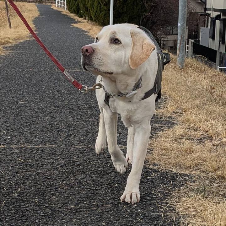 5bc063f7 bfad 4a36 9df2 0533bc6b1894 1769944635145