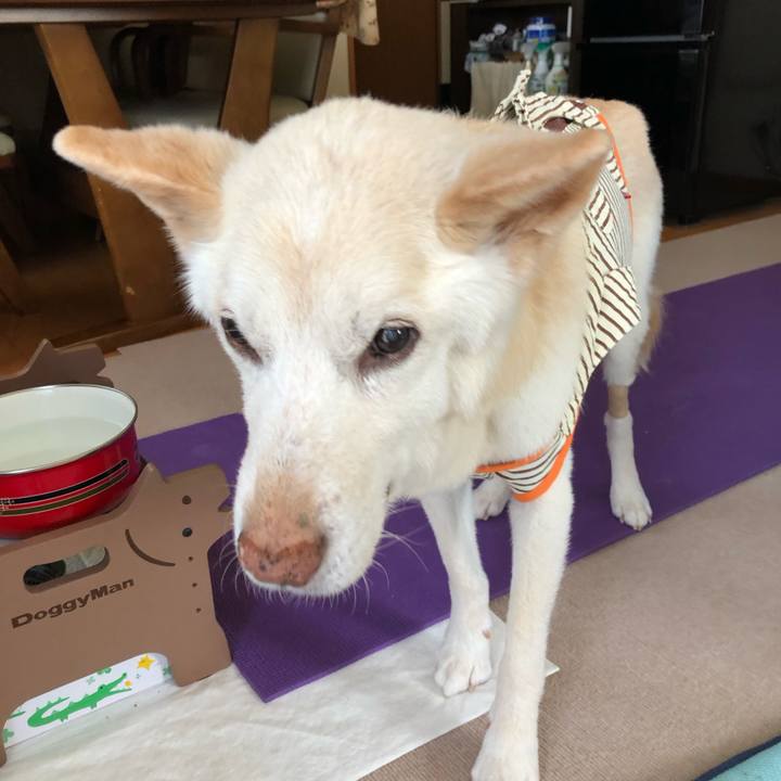 5bc077f9 5827 42c4 9cfc ceac6ca9f7bb 1655339450200