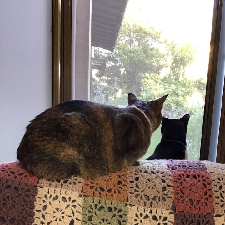 5bc07ee8 a99d 4fd5 a683 11f1a614b373 1714726836328