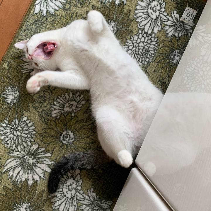 5bc094fa 4b37 4061 97ac 1a1530622f8b 1637547936878