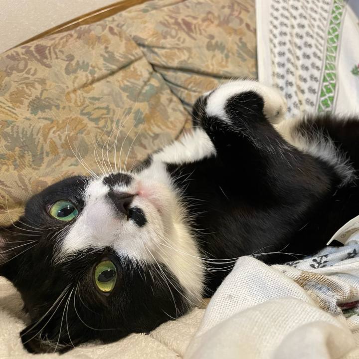 5bc1066b 5770 41fd bae9 870d344d5e23 1679148046476