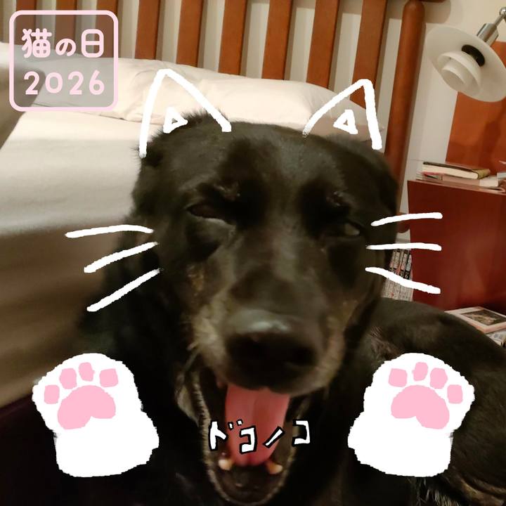 5bc117cc baa8 4e30 8702 edd11c4b6c88 1771716935439