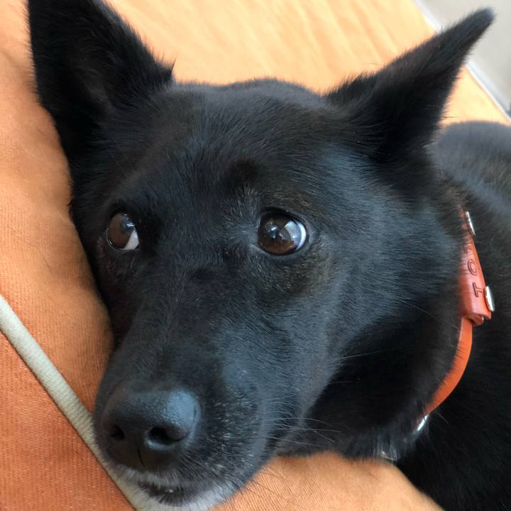 5bc14492 f124 4a19 8978 104546ebaea9 1629512438994