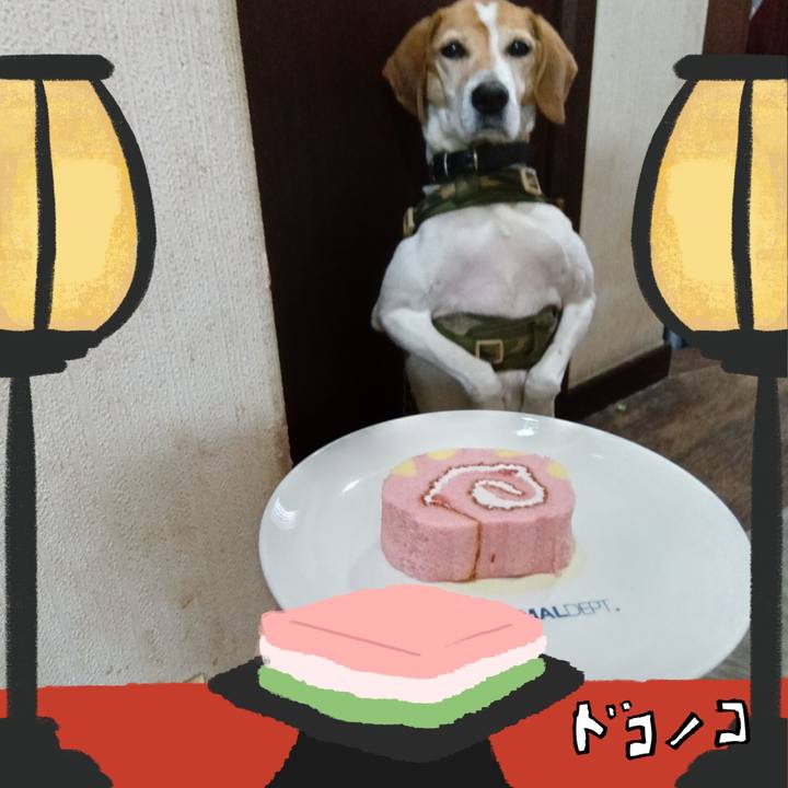 5bc16667 b12f 4022 a6ec 41f19b4c30d7 1741172421919