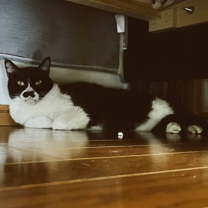 5bc1787f 2e5a 4d02 8924 2c448bd6825c 1651539615942