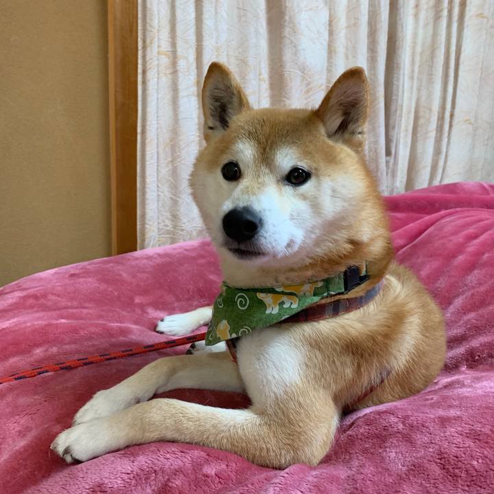 5bc18af4 fb00 433a 82b4 5e09dc0030ae 1577963018497