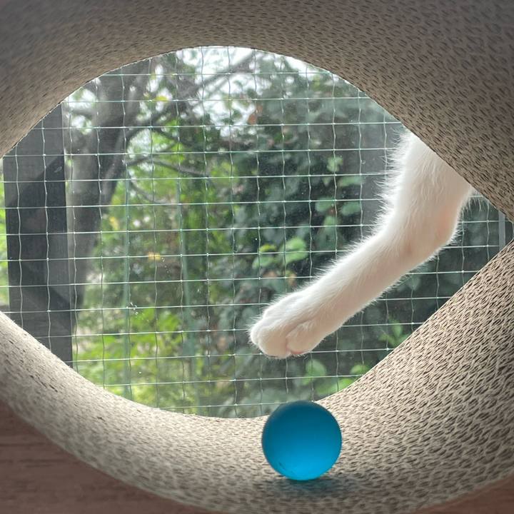 5bc18c25 ecb2 4a94 8d4c a89742db20fb 1662417115176