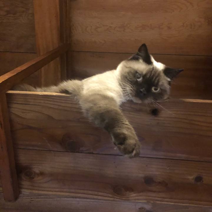 5bc18ccf adb5 4fd4 8bb9 6bece0b8d226 1631409153677