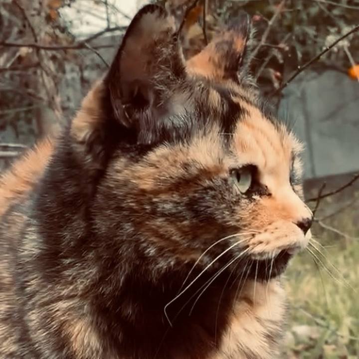 5bc19477 fa31 4b90 9aba 35cc21c774c7 1767848308069