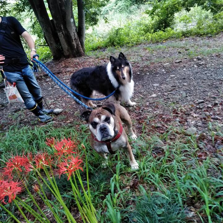 5bc23476 27a5 47be 932e fd18dde1fe38 1536761686933