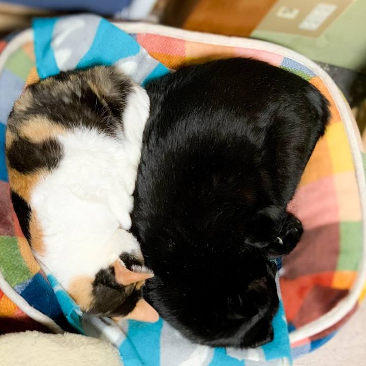 5bc23754 94b5 4764 bb86 fb6cd1b1e913 1587607379499