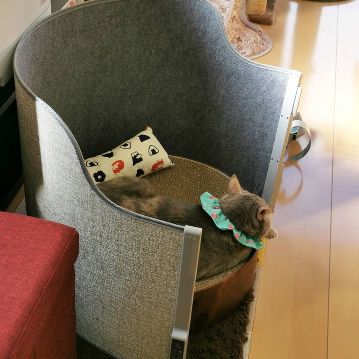 5bc2cb5f c451 4d5e 95b3 88efec8f6c4c 1675052003079