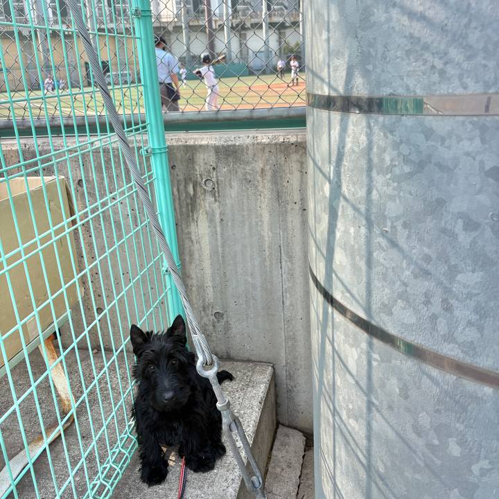 5bc31006 8ed9 423a b7a5 d79834a37896 1774765445479