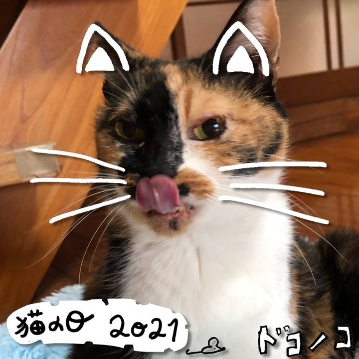 5bc3594b a4b2 43f1 8f7e 16ca87915eb3 1613973816990