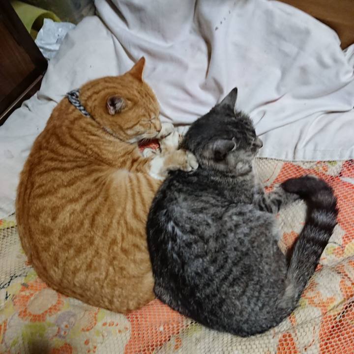 5bc388a0 6b5d 41f3 a23c d9a009081beb 1574079966132