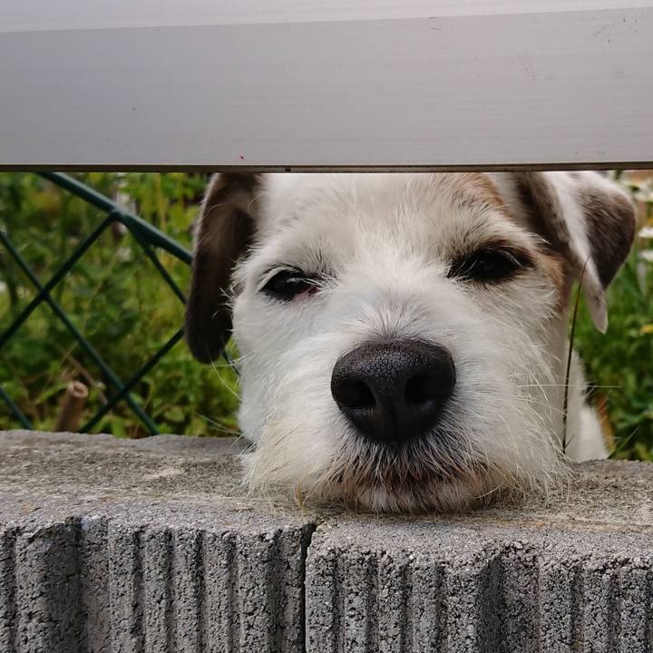 5bc3899e 97a9 40ef b41c f2e01325d557 1563406631678