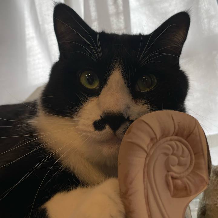 5bc3a96a 6af5 40b6 9959 84c2ef370fef 1679967227028