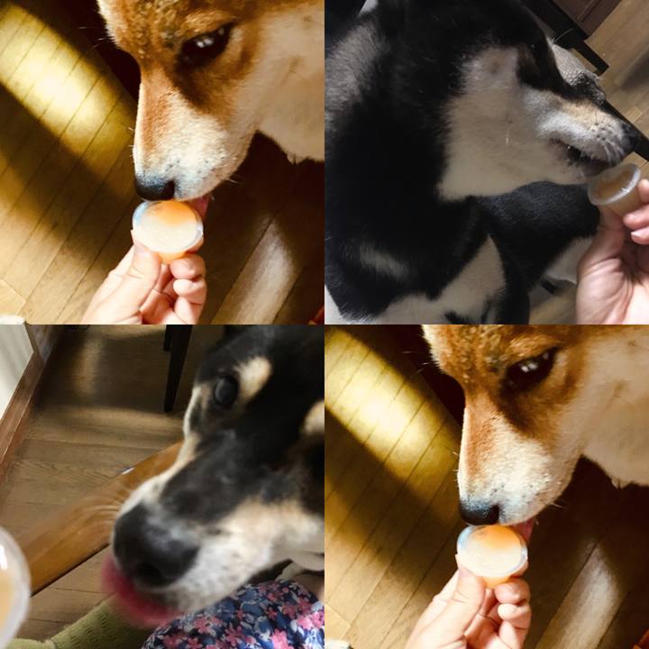 5bc3bd0d 2993 45c4 b7d5 f8da67bf7a9a 1535686065579