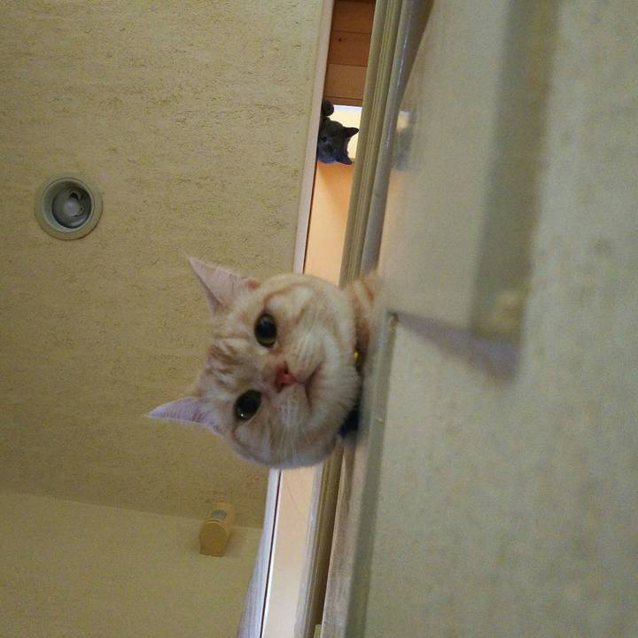 5bc3cc23 63b3 45b4 8949 666b8c00df6c 1508506824711