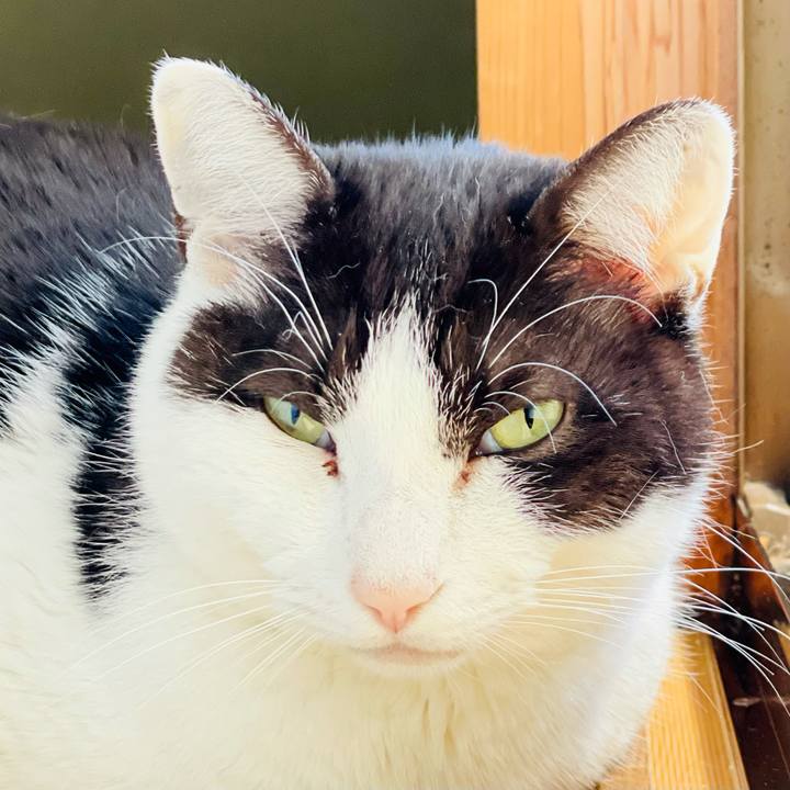 5bc3d5b8 e650 406f a588 373935302355 1618883437549