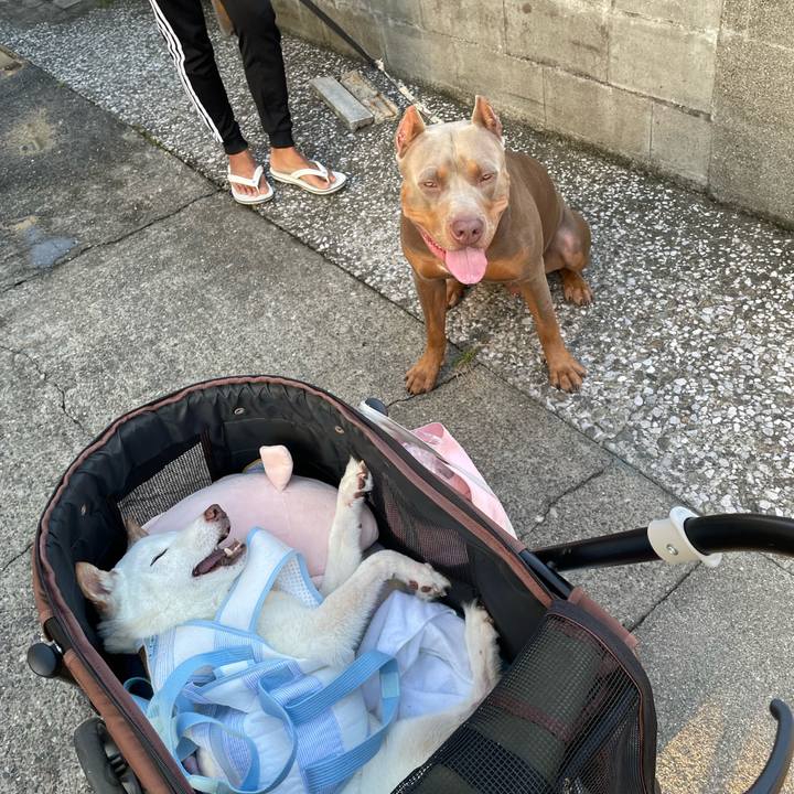 5bc3e426 43e6 4e62 8674 9746901d81e2 1664709745408