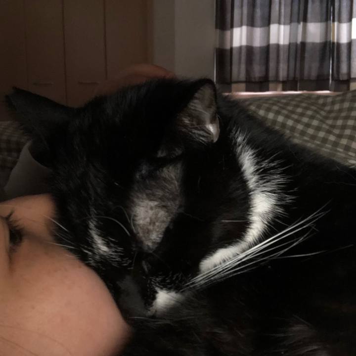 5bc4053f 8ada 4589 afc9 57992ee21838 1550237648871