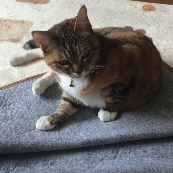 5bc41176 2267 45a5 aa25 a495fc44c060 1557109510694