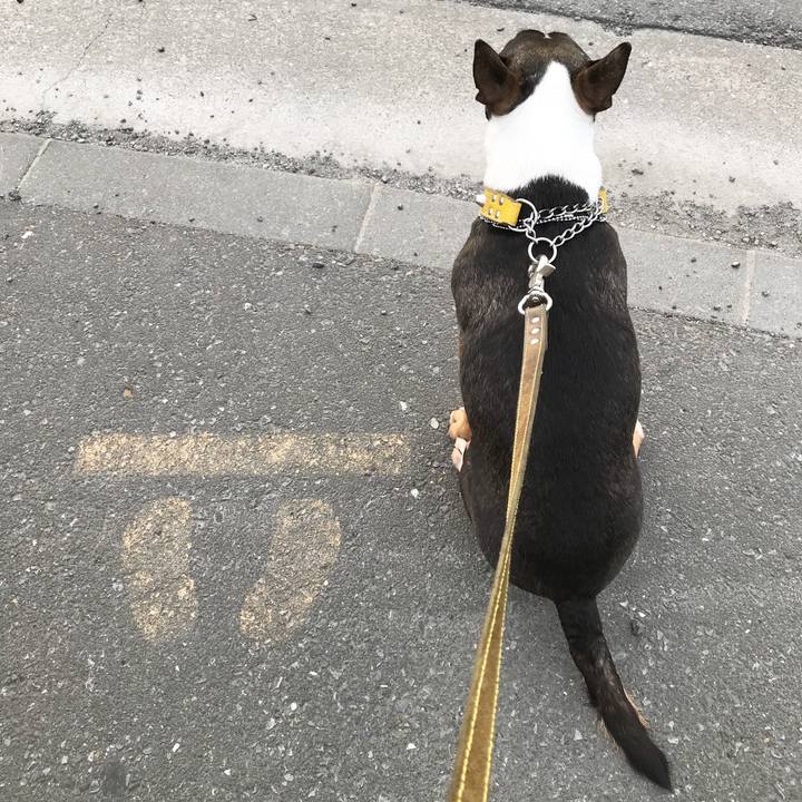 5bc45dd0 c42c 4a35 a7cd 28cdfa607b14 1522580611143