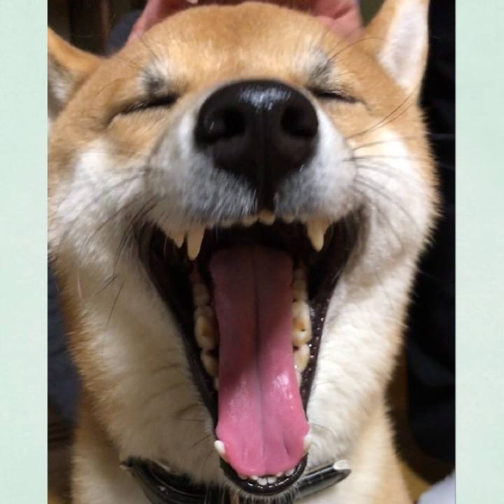 5bc469d0 ce52 42cd b100 74c6444acb86 1514376545234