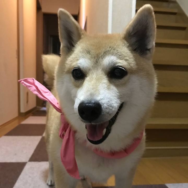 5bc48f79 acfb 4930 bdd2 ea291a41b9bb 1530707550079