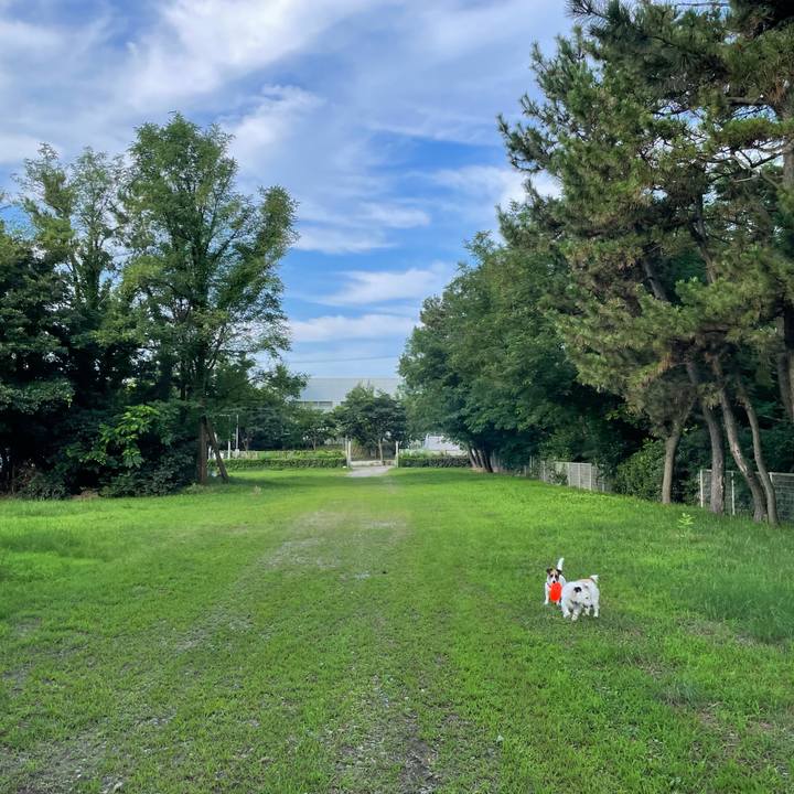 5bc49ff3 12e9 409b 88a0 0dd96025801c 1659914308203