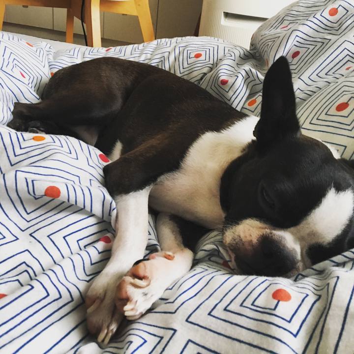 5bc4b129 e1a2 4904 b6d9 f7178f7a6842 1535886594309