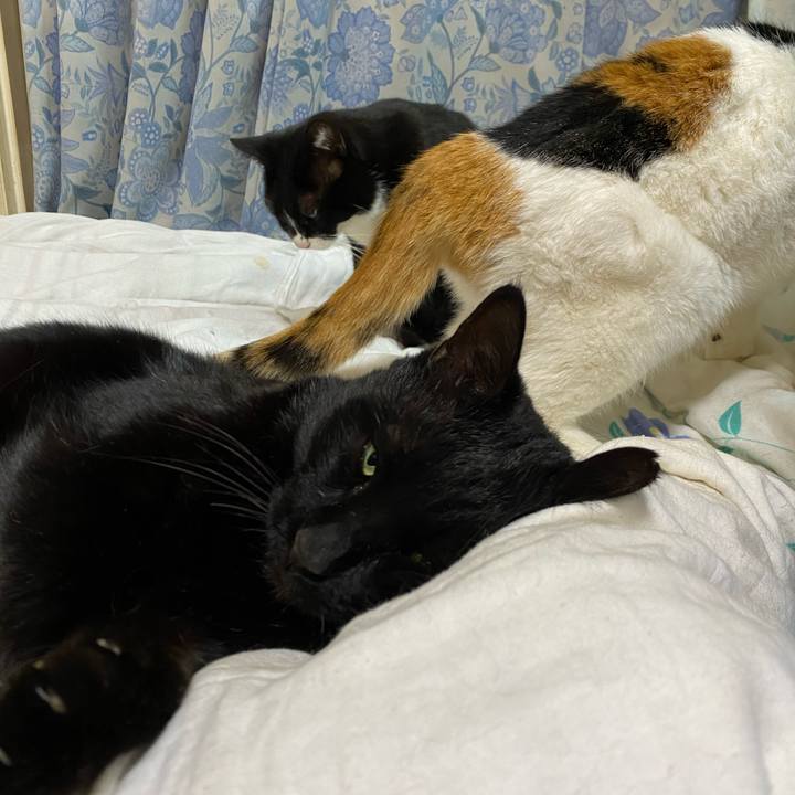 5bc4c618 f5df 4e35 8ca1 16fa8aa300ec 1674691120362