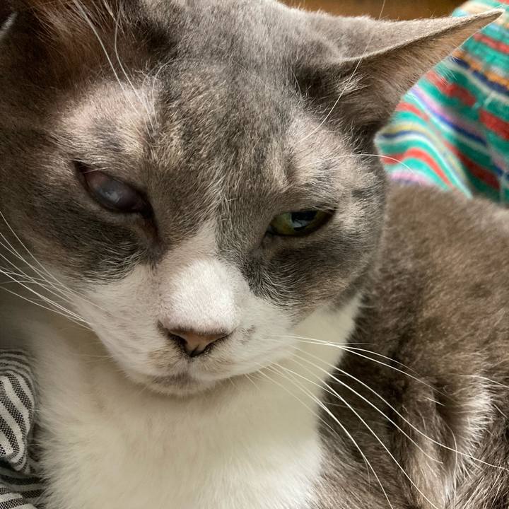 5bc4cc35 dd46 409c a2e2 23e694c1212c 1715906388282