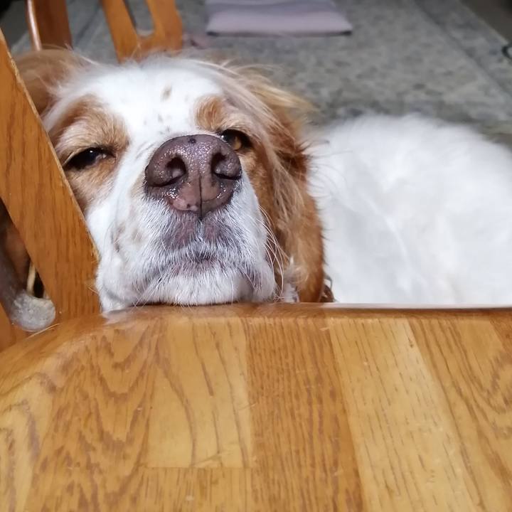 5bc4d356 bd8e 451c a946 4ff887fa552e 1602237632772