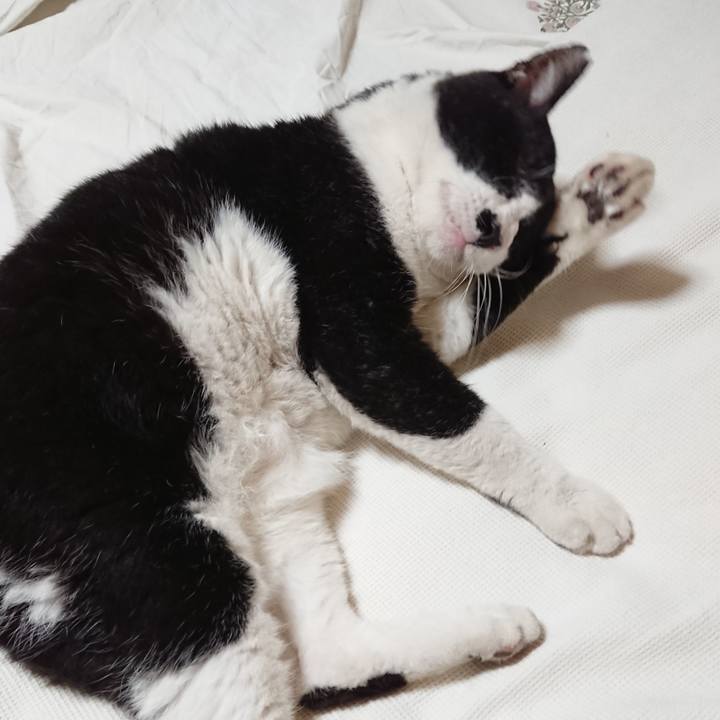 5bc4e50b d9c4 43d3 9ca0 99f9a0d5e78e 1661829082910