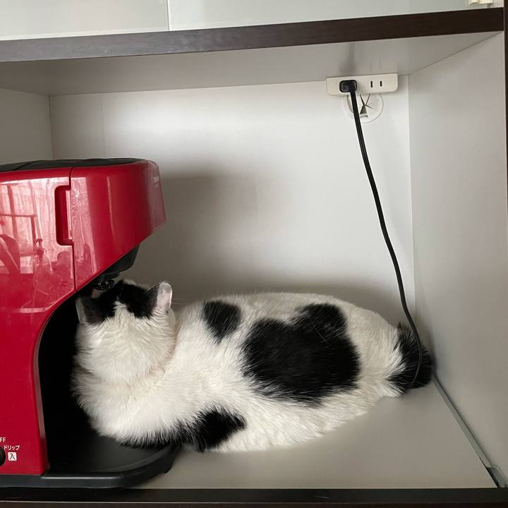 5bc52ada 8917 4fa8 82fc 9d4902ea75f6 1621294662896