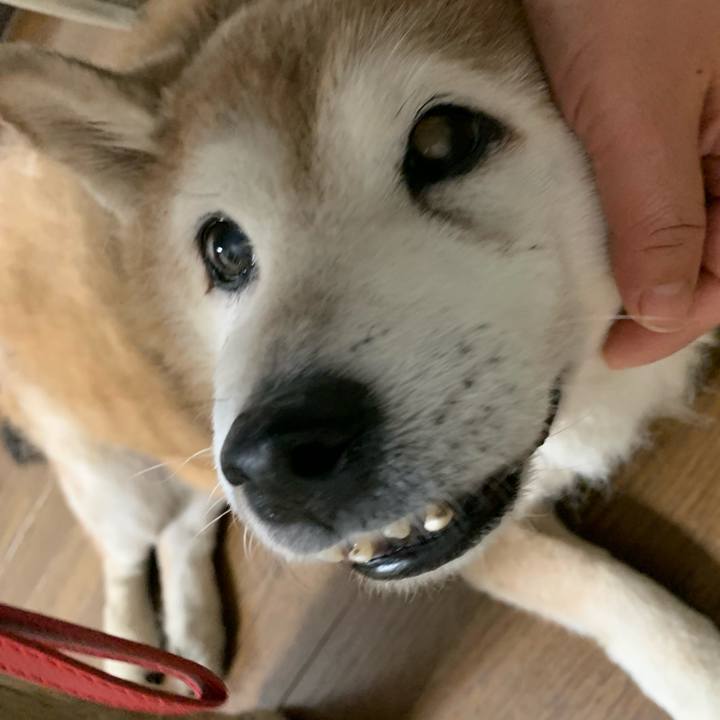 5bc53936 ac8d 488c 8118 89364da57c6b 1633860182456