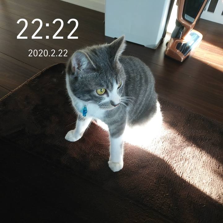 5bc559f3 8ac8 4456 8d00 4591db20a81e 1582379979404