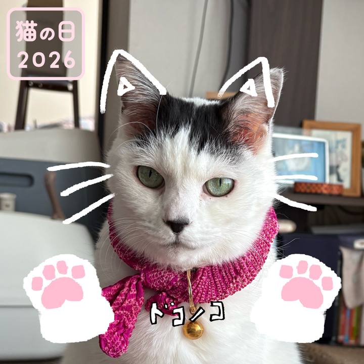 5bc5a8be 9434 4688 bb28 7d97a7b92a7b 1771735322460