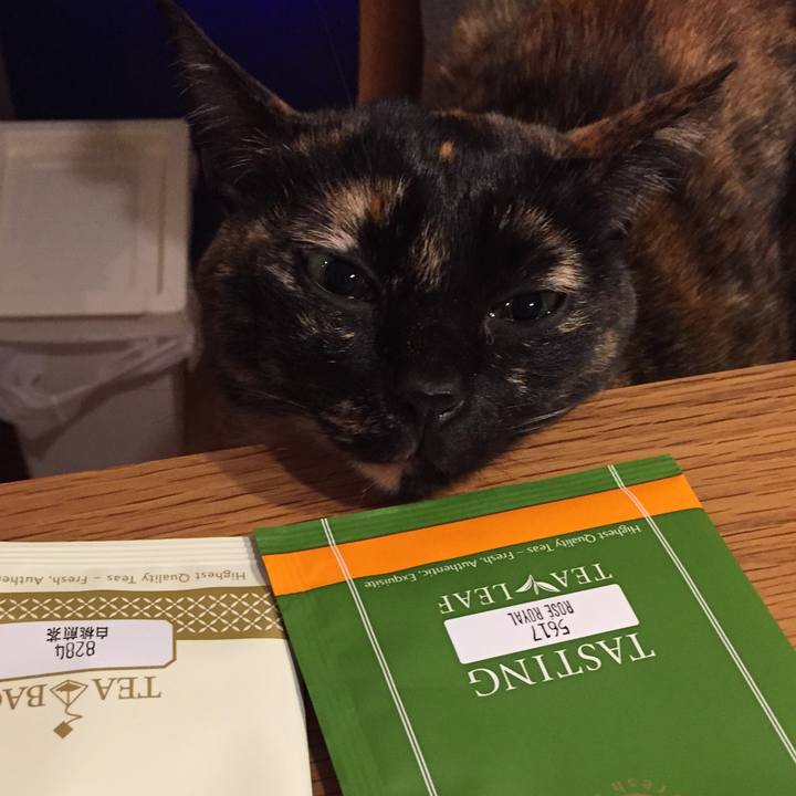 5bc5f14d 7b3c 46ed 8cb5 eb763bd33988 1545303101699