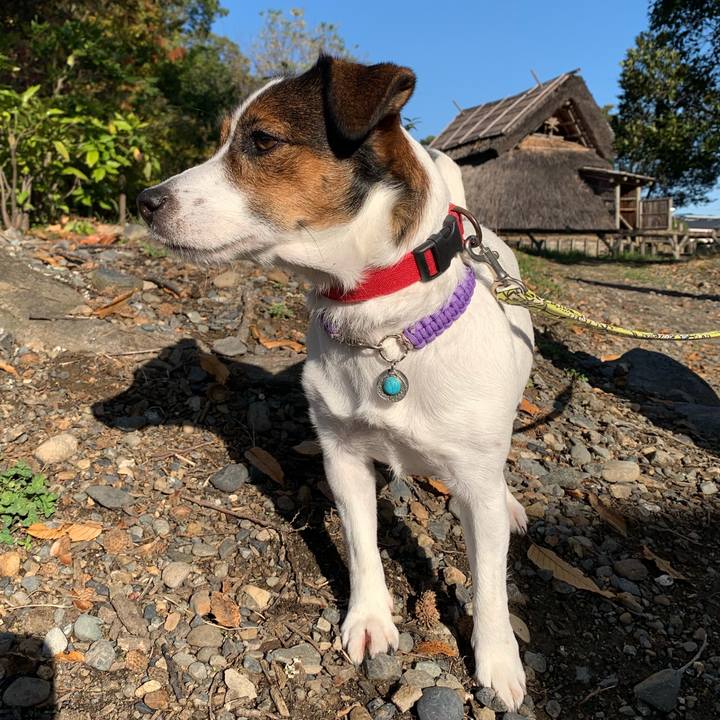 5bc6594c e7d8 405a 973f cd8c316685e2 1575286259944