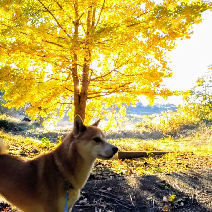 5bc66281 0fdf 4a95 ba02 347976be0e2d 1574026268951