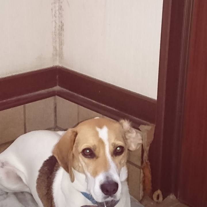 5bc66538 9df0 414d 9d06 8b051602e551 1571481266994