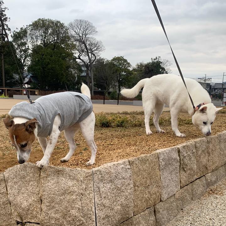 5bc6a694 7bc5 40cd 965d f970ee50934b 1546744243669