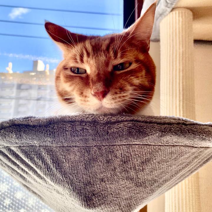 5bc6a6ad 757a 4fae 8840 a7dbe2231192 1739098896312