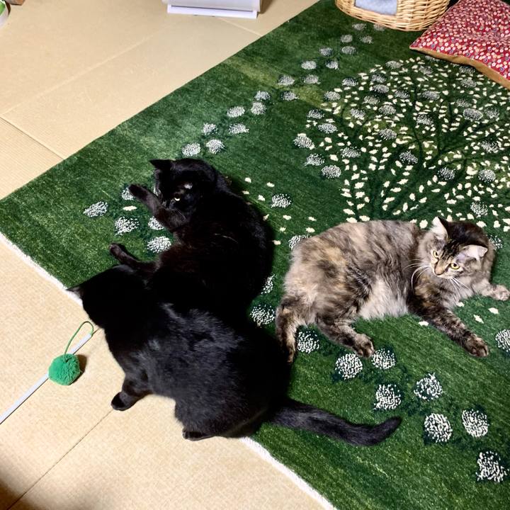 5bc6b6c6 6a57 4d5b aba5 085ca605461d 1658317142880