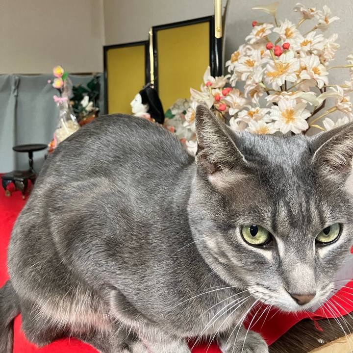 5bc735c4 f8b2 4b6a a53d b13ddb59956d 1740387192147