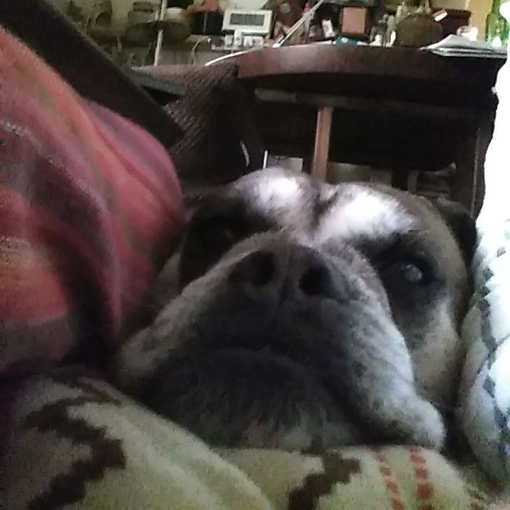 5bc79770 46ec 470d a761 c0598c20642f 1522376447338